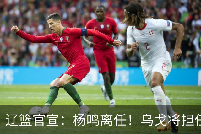辽篮官宣：杨鸣离任！乌戈将担任辽宁男篮主帅